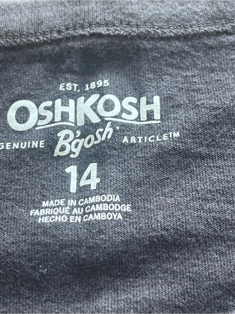 Osh Gish Surf Club Shark Graphic Tee - Black & Teal - Kids